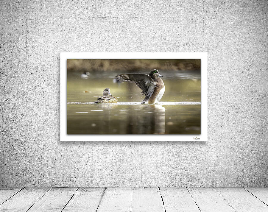Wings of Protection by Moments By Shane
