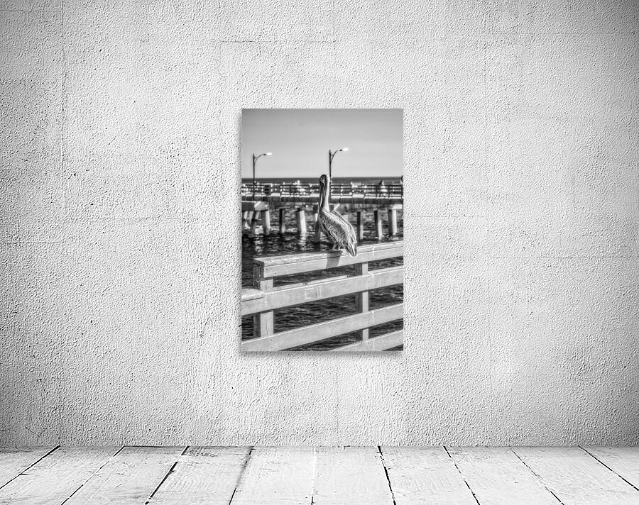 Oceans Guardian: Black and White Infrared Capture of Pelican on  Wall Preview