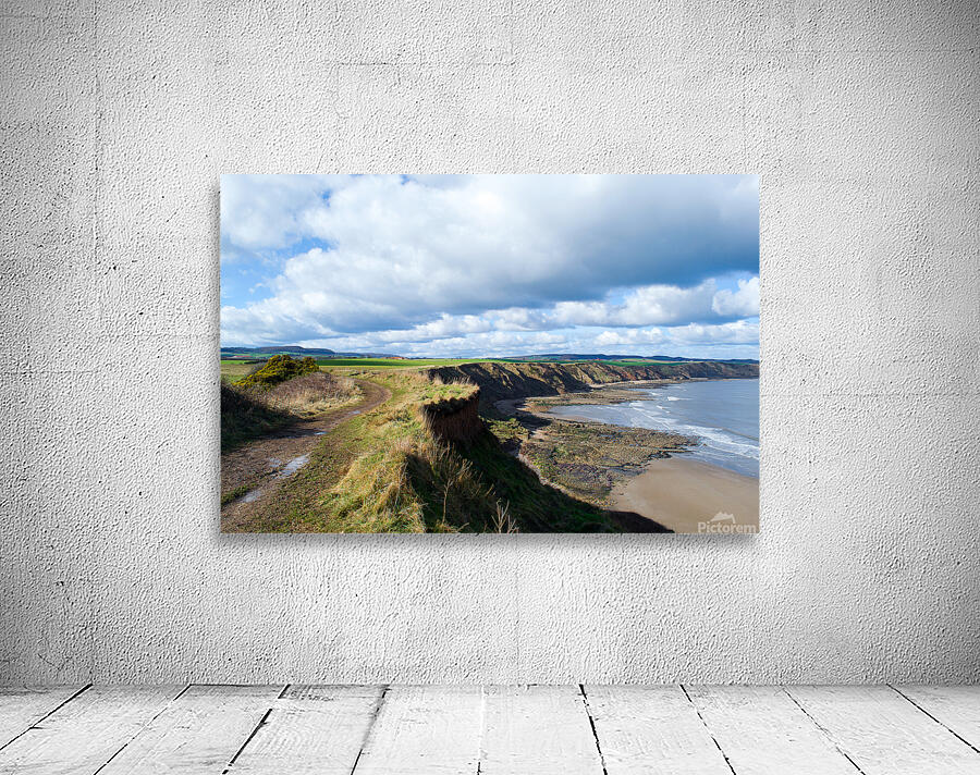 Scalby Cliffs Wall Preview