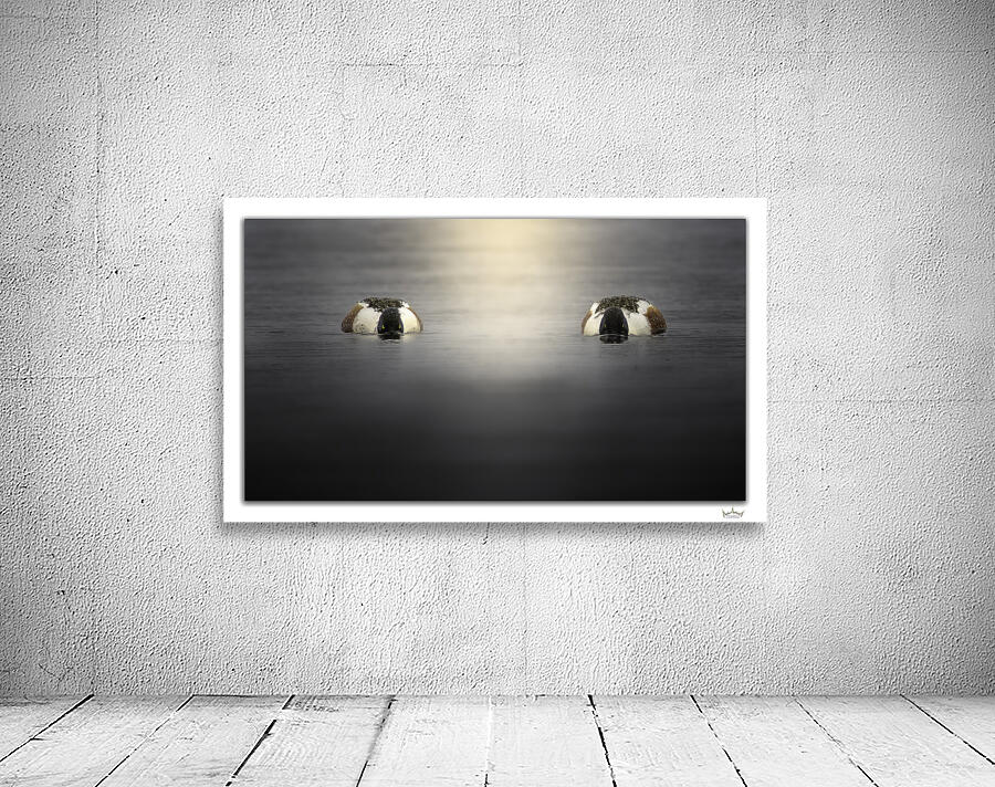Shoveler Brothers by Moments By Shane