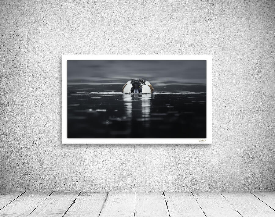 Rainy Day Shoveler by Moments By Shane