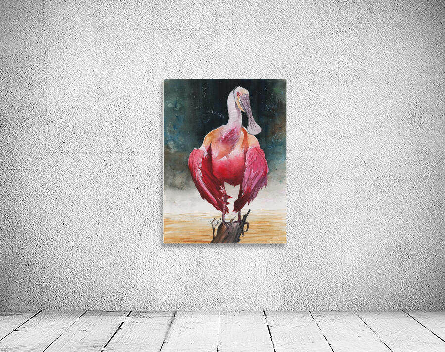 A Roseate Spoonbill in Florida proudly perched in the Florida Everglades by Hubert ABITBOL