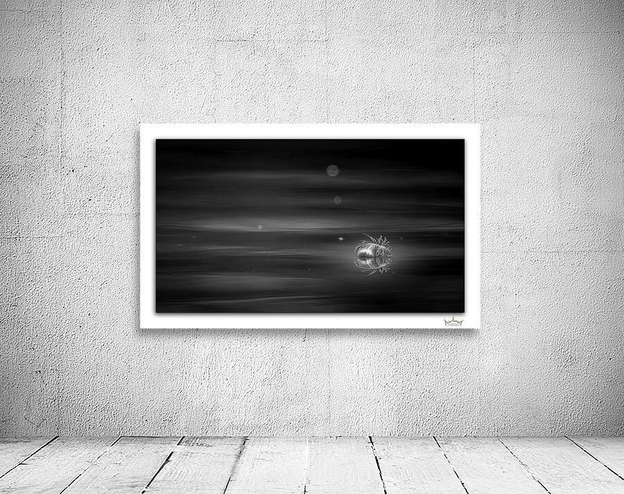 Delicate Reflection by Moments By Shane