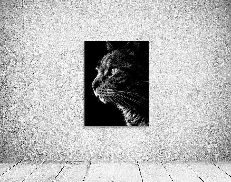 Monochrome Cat  Wall Preview