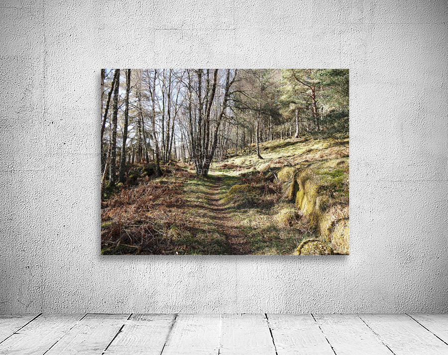 Early April in the Scottish Highlands                                                                                                                   Wall Preview