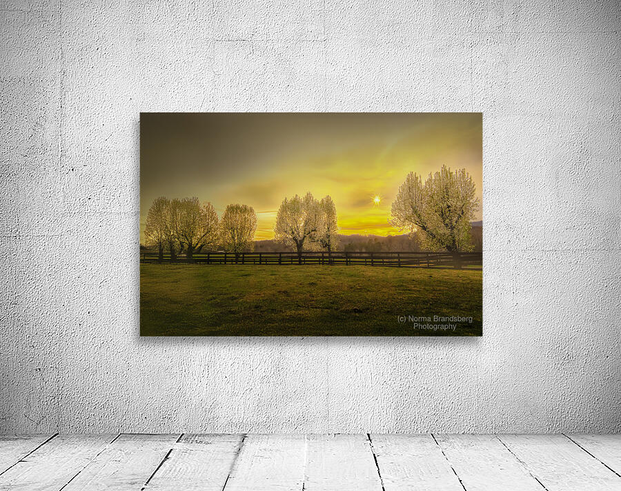 New Beginnings Wall Preview