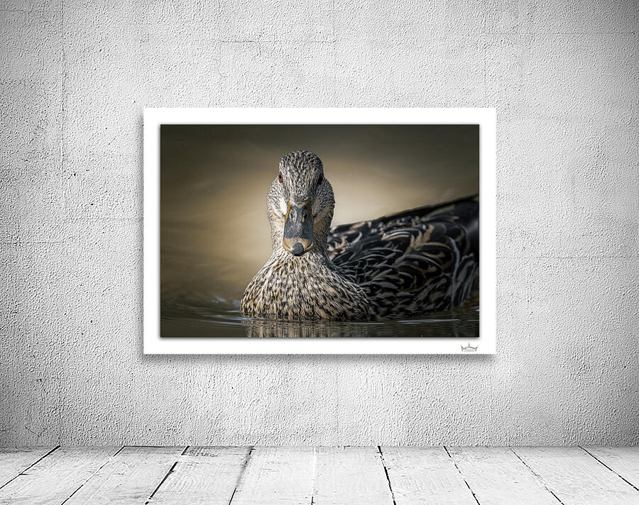 Hot Hen by Moments By Shane