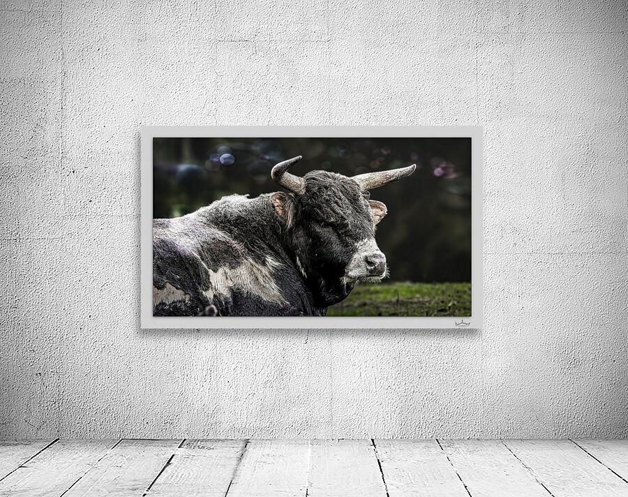 No Bull by Moments By Shane