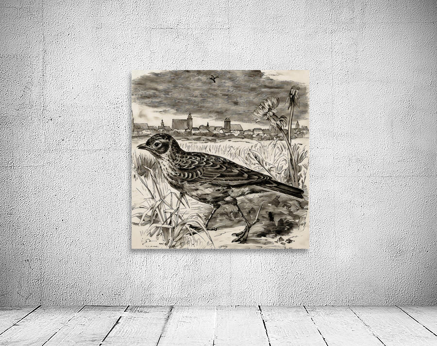 ArtX 527 bird by Forgotten Art