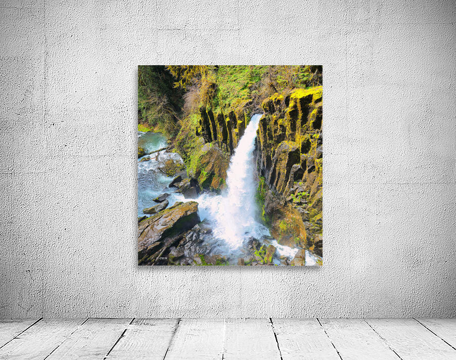 Drift Creek Falls_Holt_RezN888 by Charles Holt  RezN888