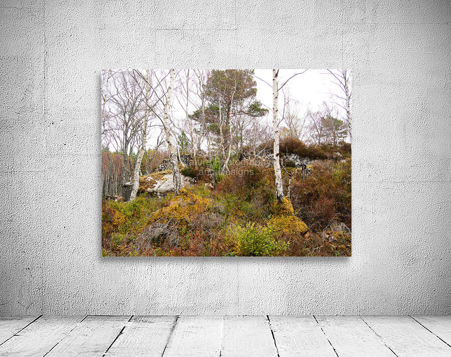   Fairies Delight in the Scottish Highlands                                                                                                                    Wall Preview