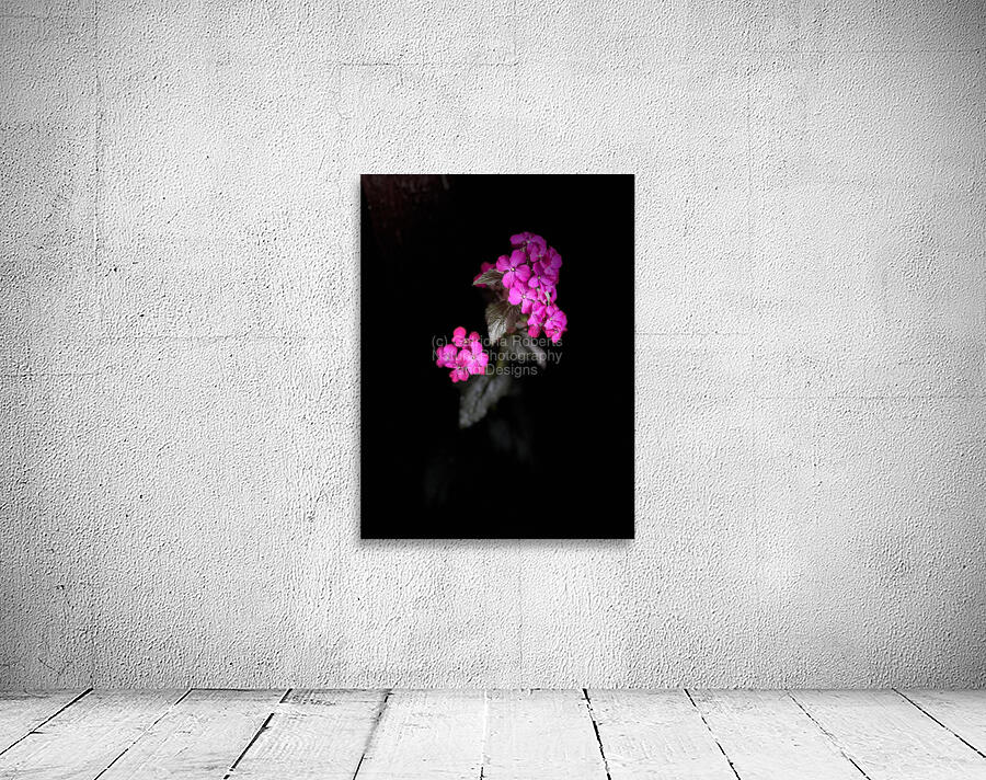 Portrait of Plants- Colour Out of Darkness Wall Preview