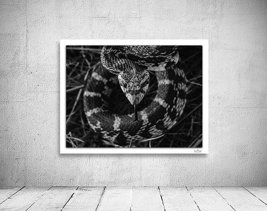 Ready to Strike by Moments By Shane