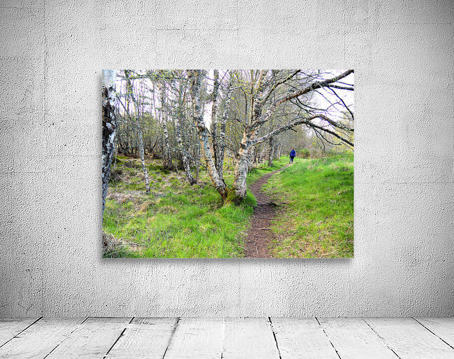  Spring Hike Through the Scottish Highlands                                                                                                                     Wall Preview