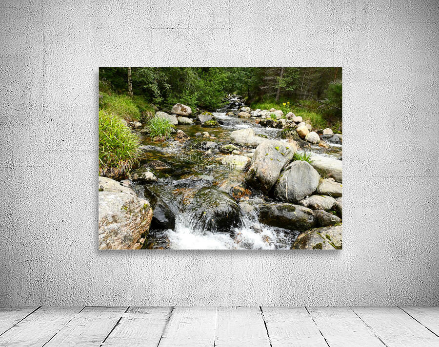 Summer River in the Scottish Highlands Wall Preview