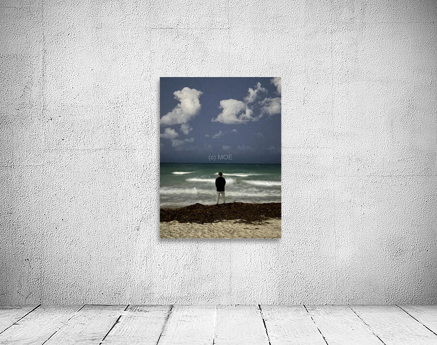 IMG 1213 Wall Preview