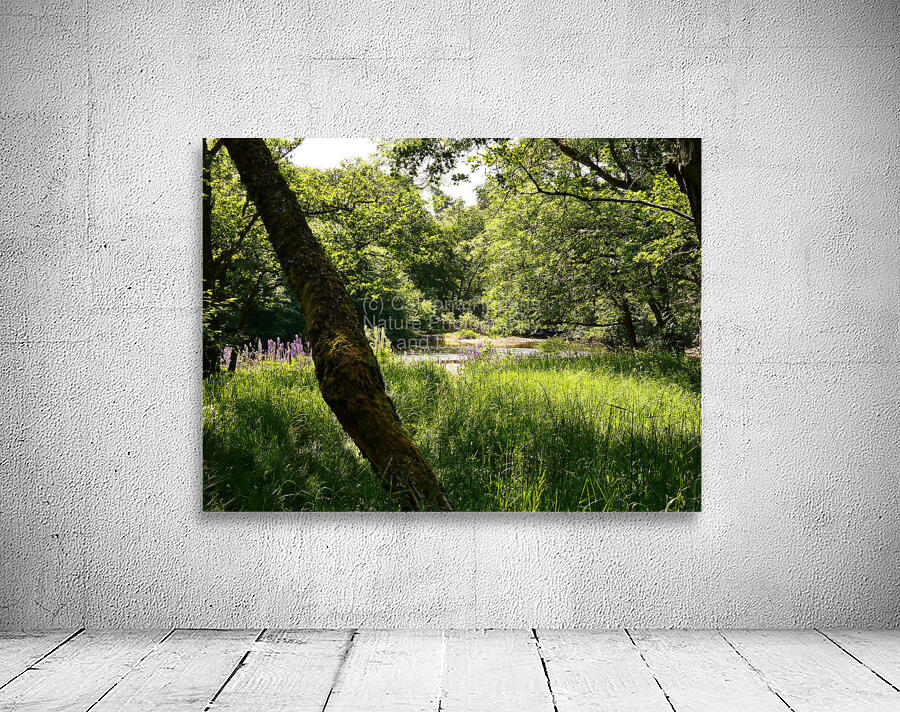 Summer in the Scottish Highlands Wall Preview