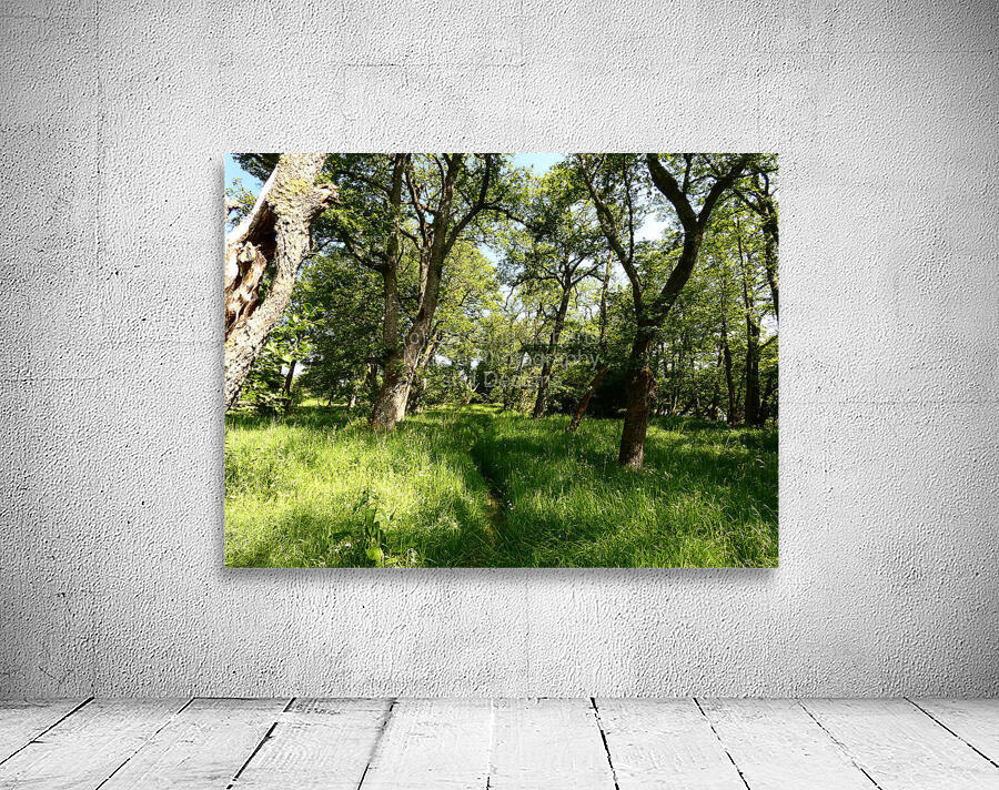 Scottish Highlands Summer Style Wall Preview