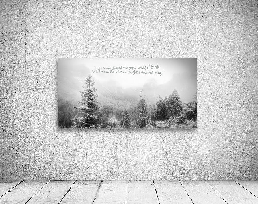 Laughter Silvered Wings Wall Preview