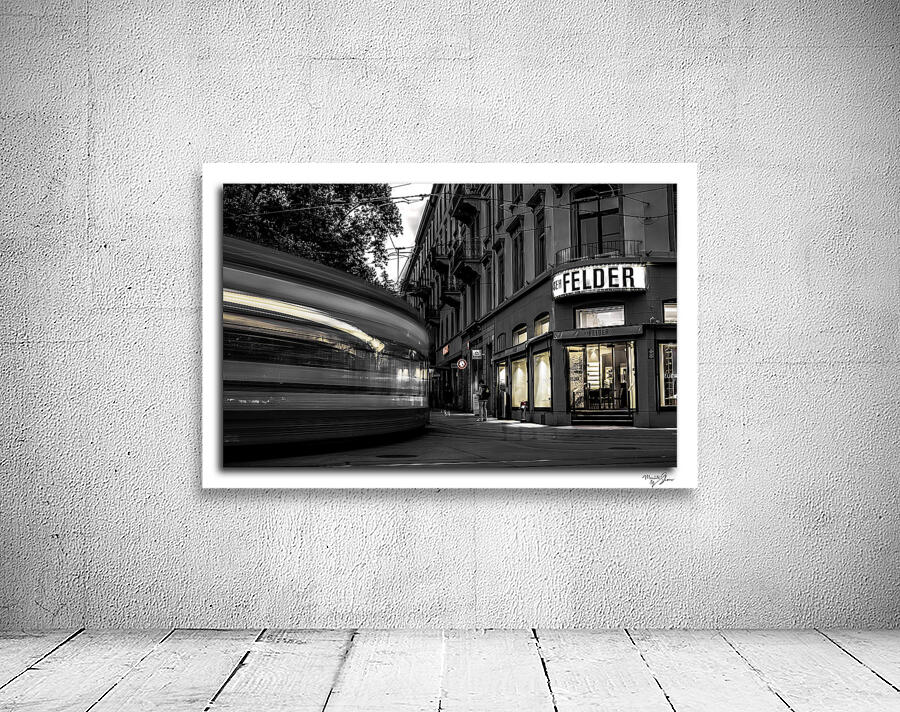 The Daily in Swizterland by Moments By Shane