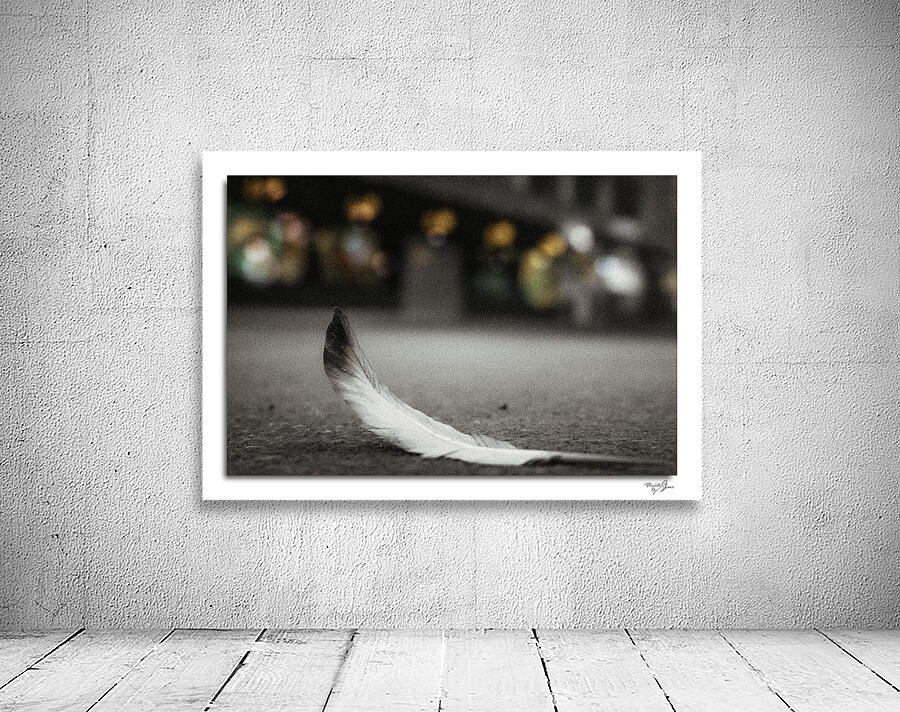 Paris by Moments By Shane