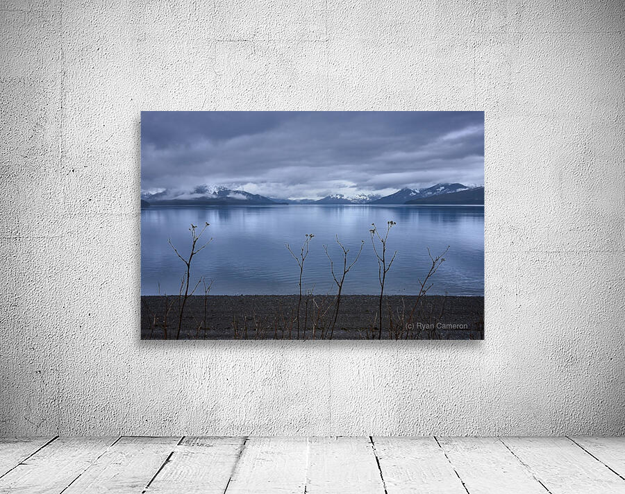 Alaskan Beach Folliage Icy Strait Point Wall Preview