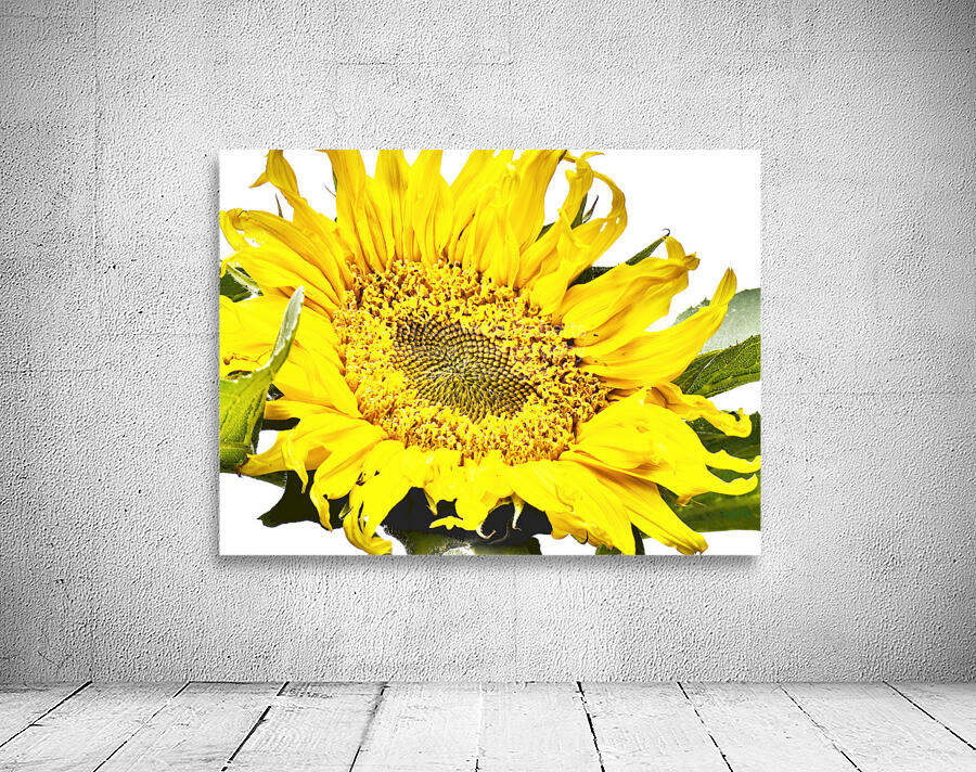 Artistic Flower Wall Preview