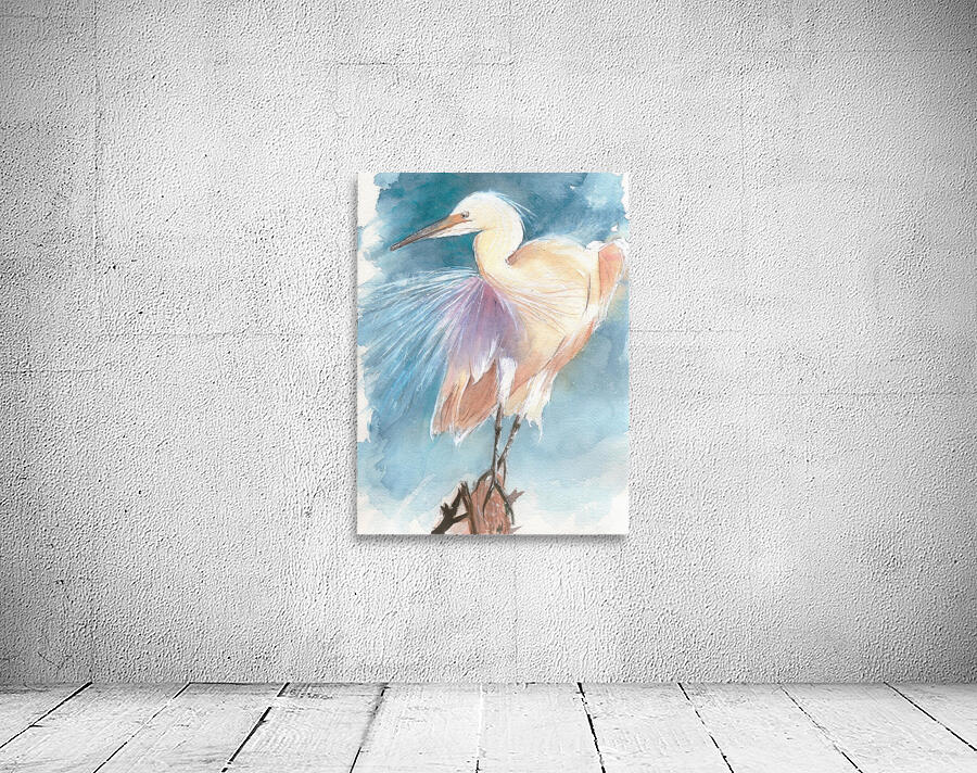 An Egret facing the wind by Hubert ABITBOL