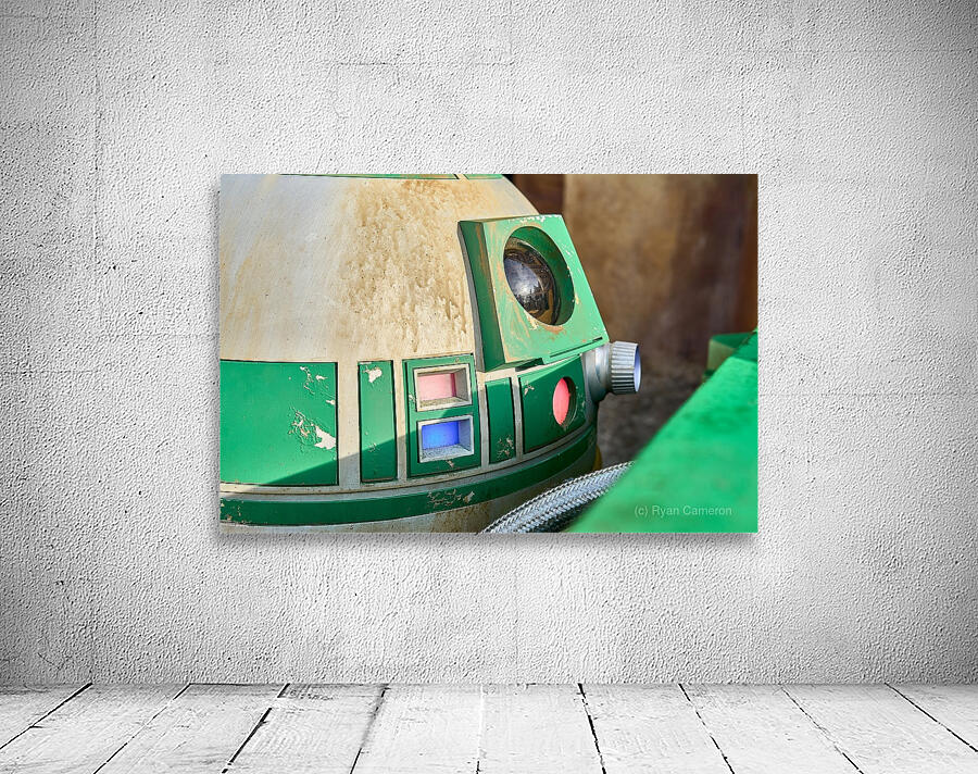 Droid Companion Details Wall Preview