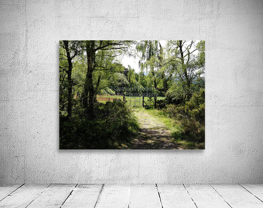 Scottish Highlands Spring                                                                                                        Wall Preview