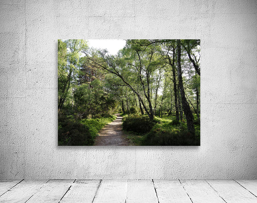  Mays Delight  In The Scottish Highlands                                                                                                                     Wall Preview