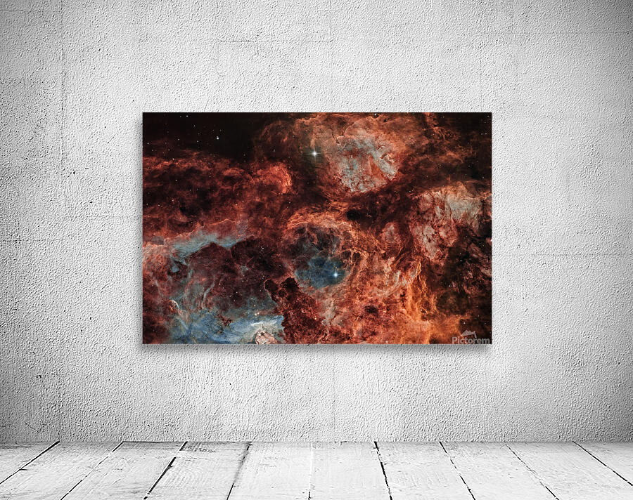 RCW 131 Wall Preview