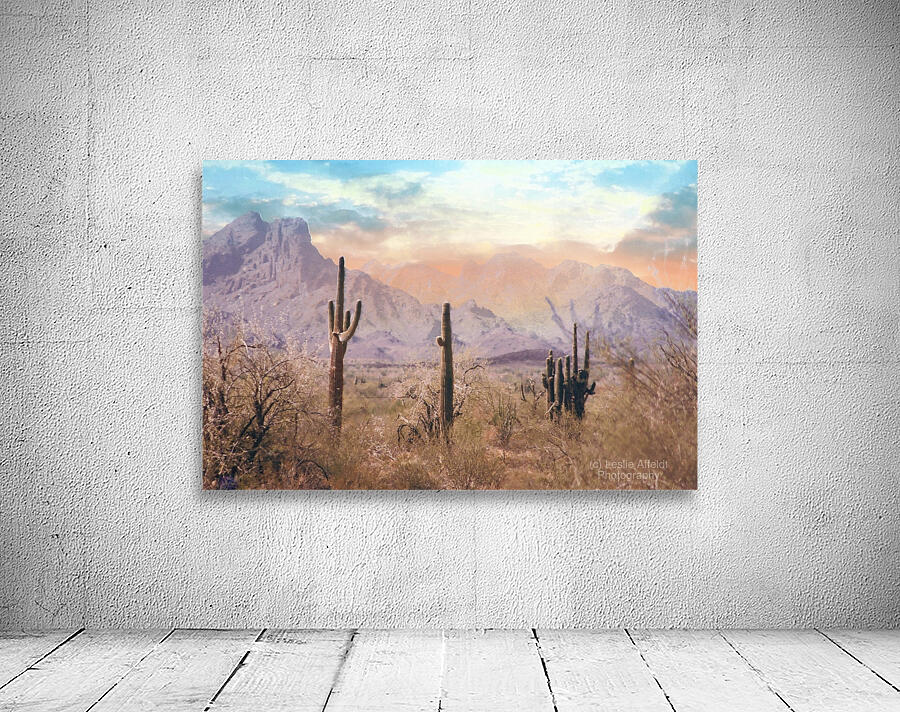 Pastel Desert by Leslie Affeldt Photography