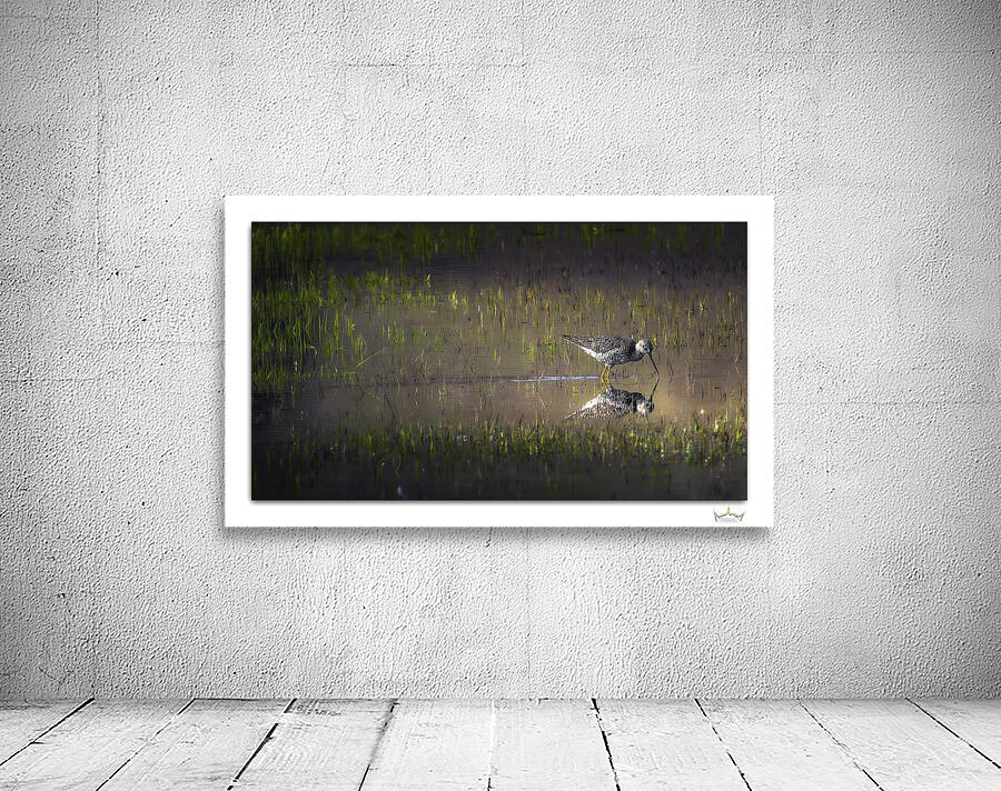 Grassland Reflection by Moments By Shane