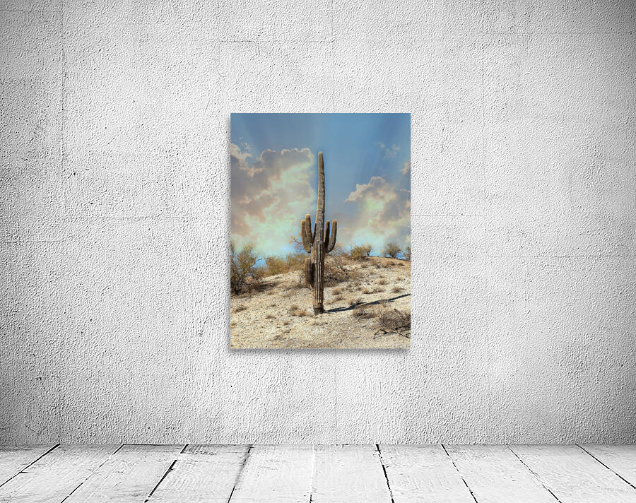 Saguaro Dream by Leslie Affeldt Photography