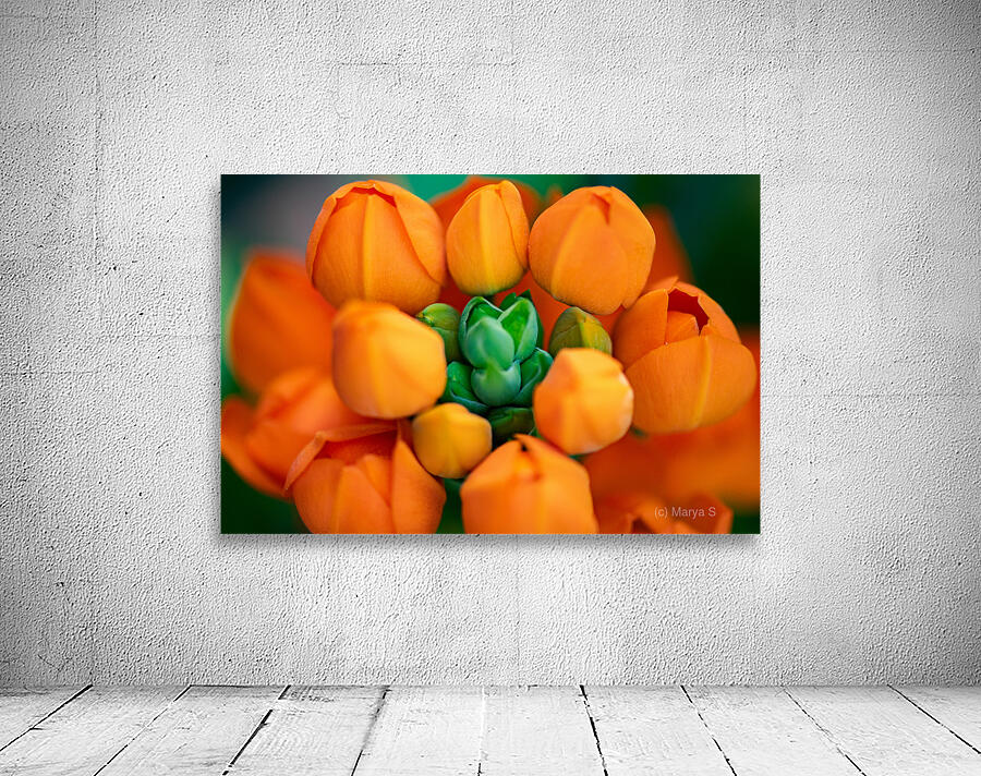 Spring Florals 5 Wall Preview