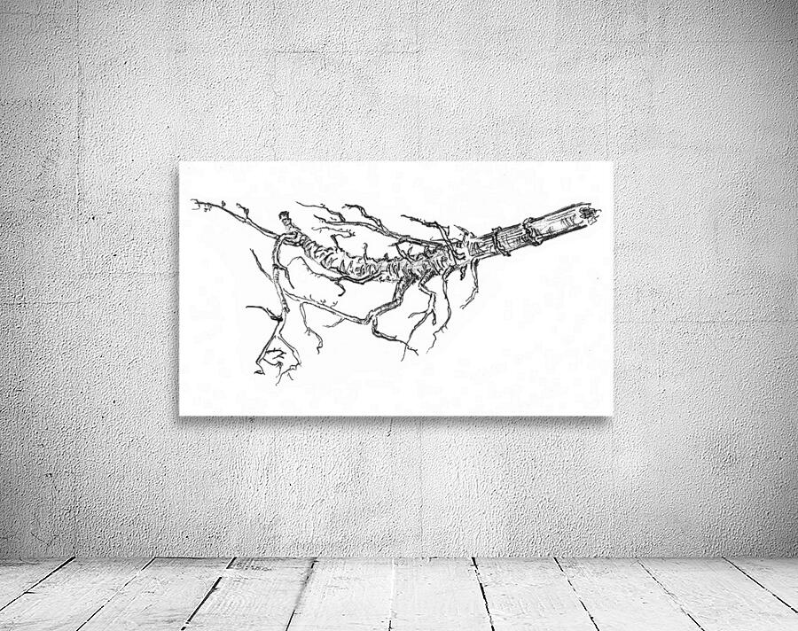 ArtX 48 branch Petre by Forgotten Art