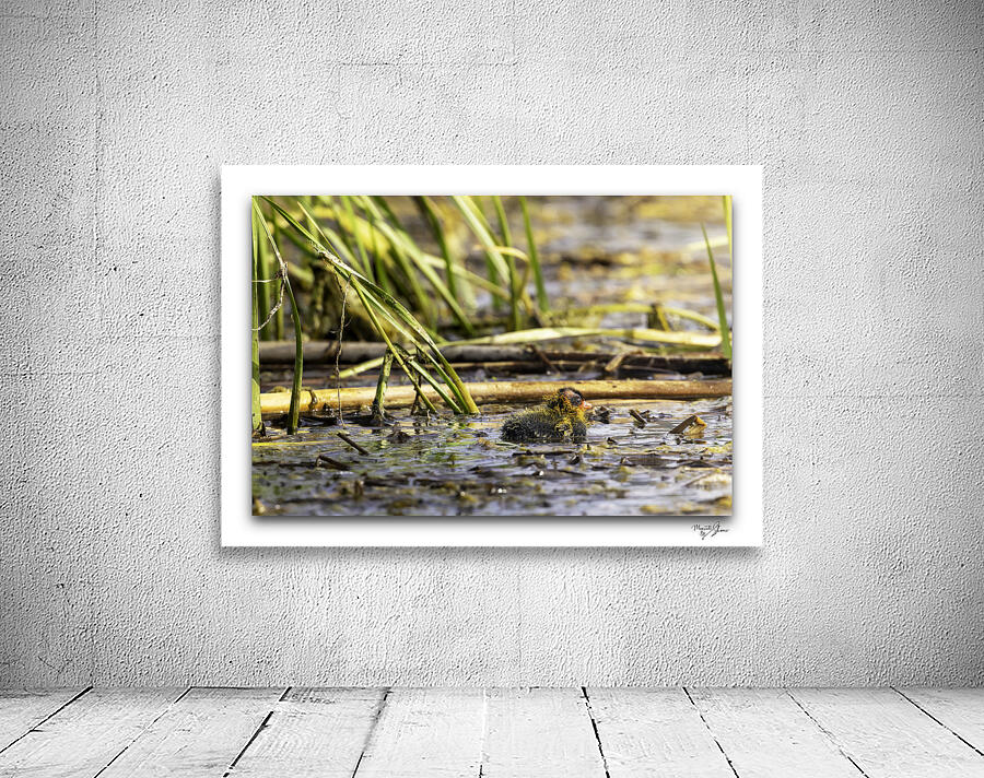 Small Beginnings by Moments By Shane