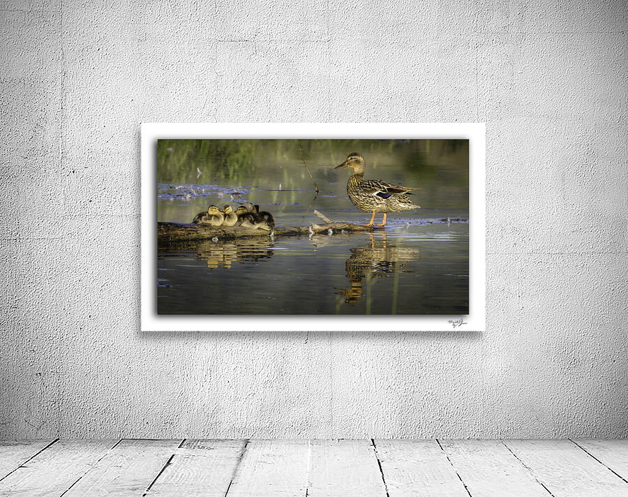 Watchful Momma by Moments By Shane