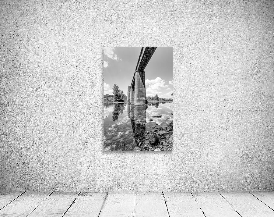 Under The Cotter Railroad Bridge Vertical Grayscale by Jennifer White