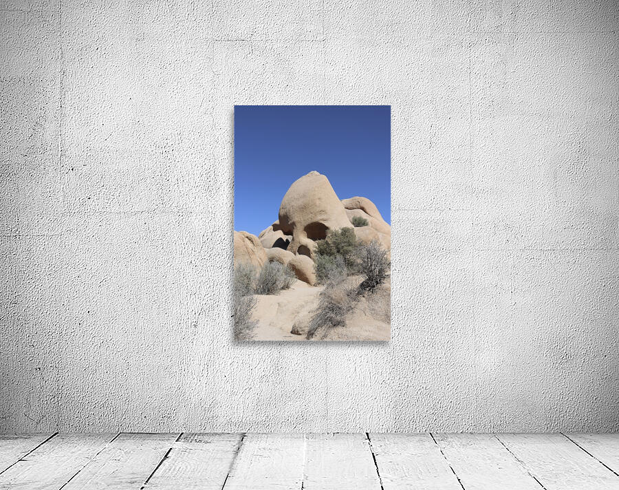 Skull Rock Joshua Tree National Park by Leslie Affeldt Photography