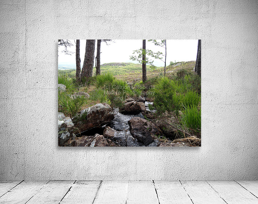  The Burn in the Scottish Highlands                                                                                                                     Wall Preview