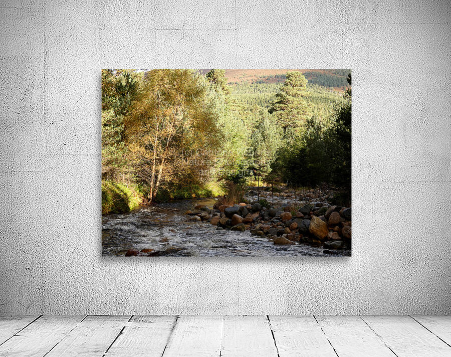Autumns River in the Scottish Highlands Wall Preview