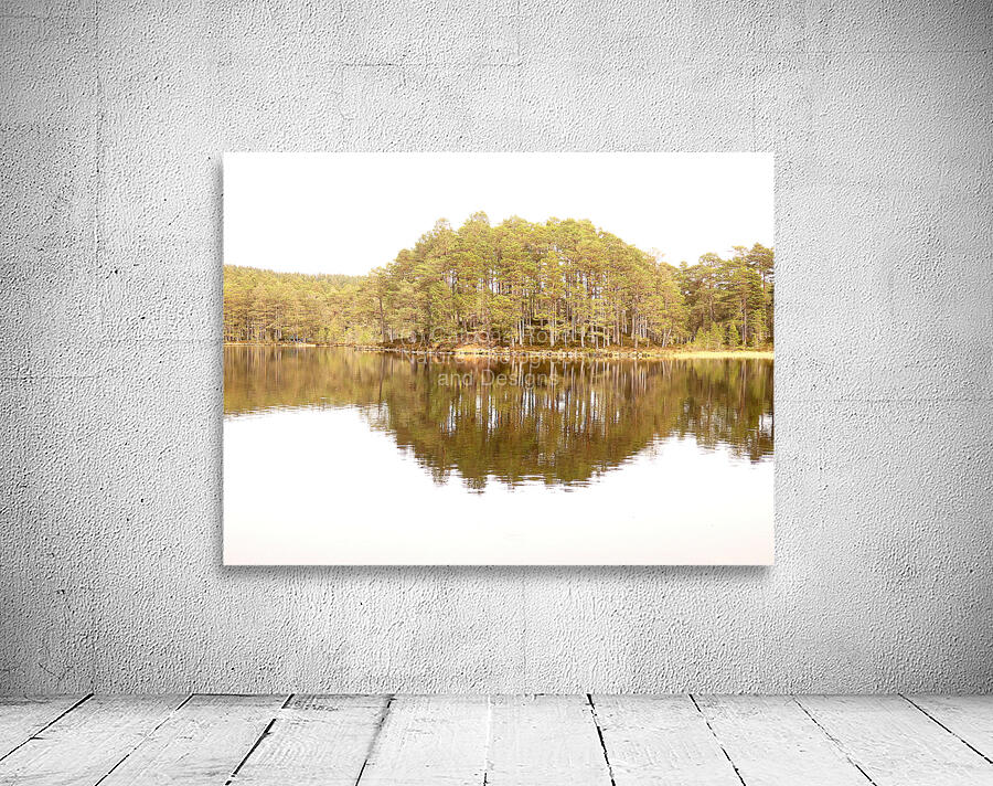 Scottish Highlands Forest Reflection  Wall Preview