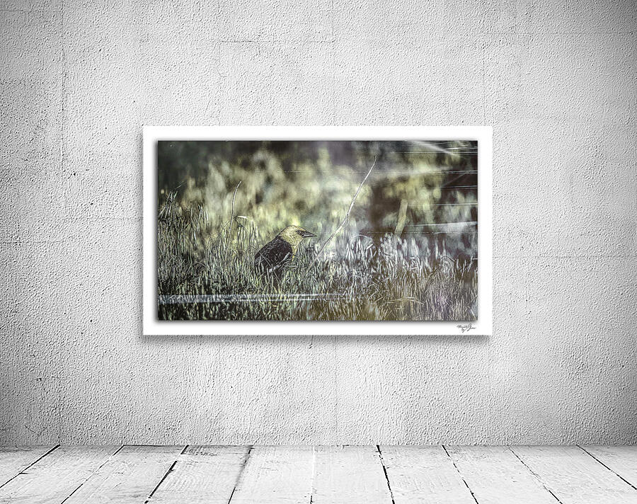 Spirit of the Pond by Moments By Shane