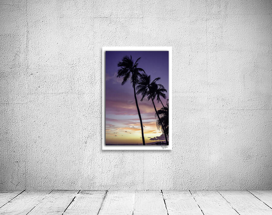 Palm Sunset by Moments By Shane