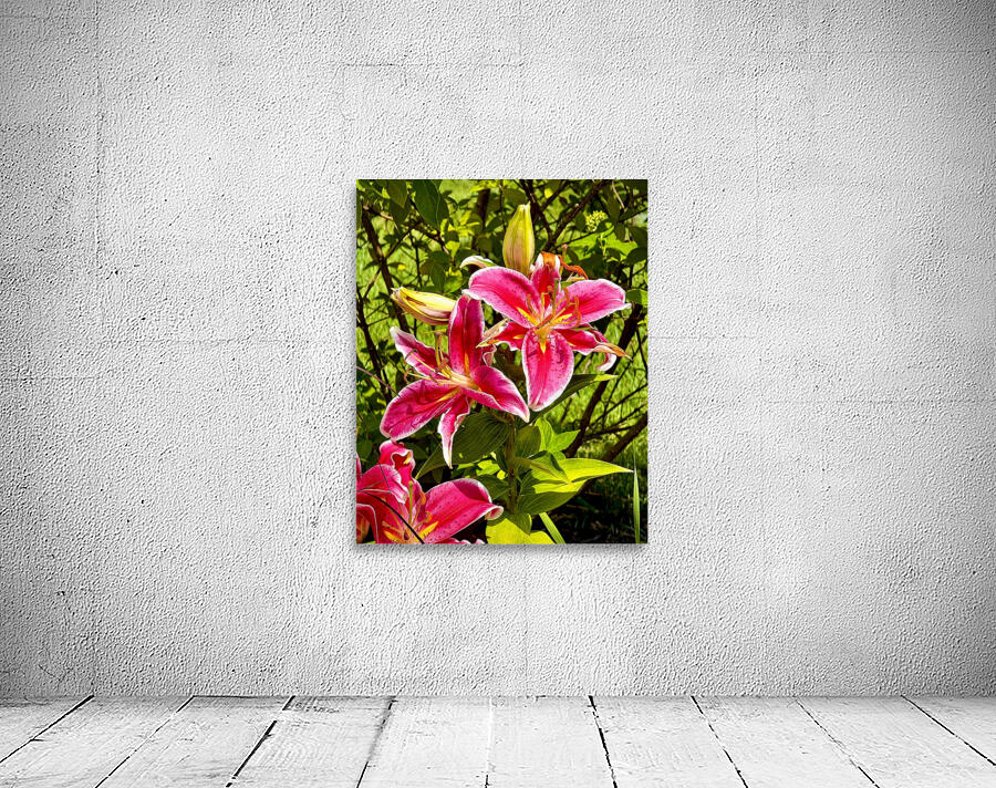Nancys Day Lily Wall Preview