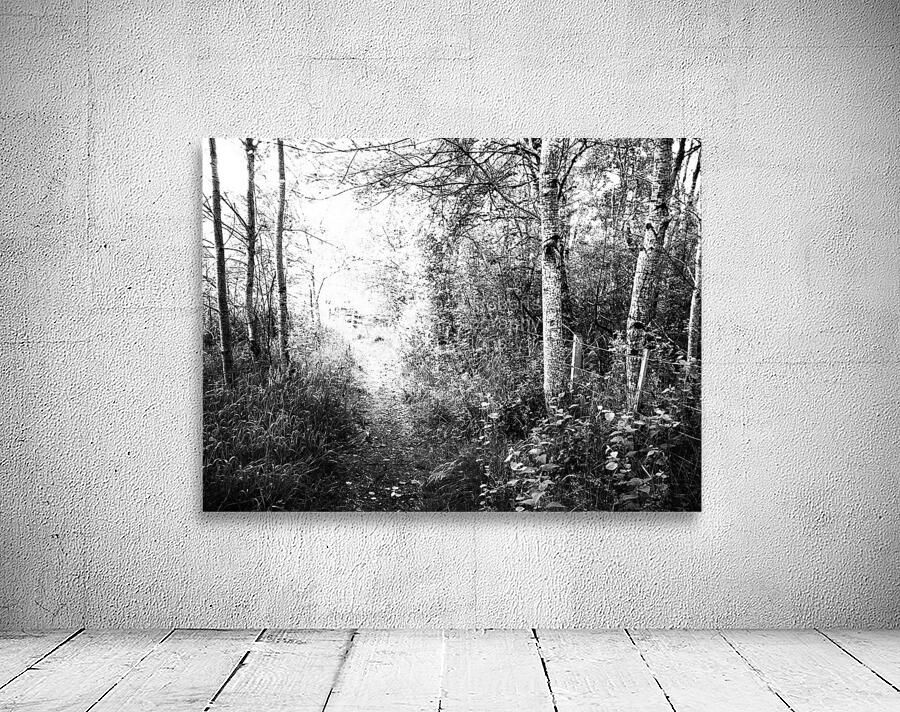 Black and White Walk through the Scottish Highlands                                                                                                                     Wall Preview