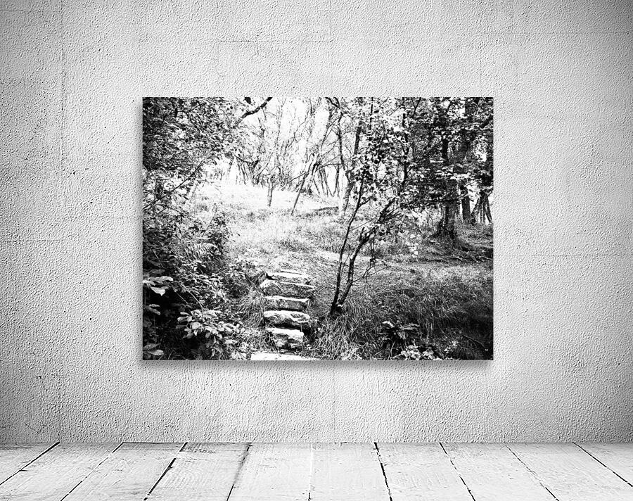  Natures Upward Flight through the Scottish Highlands                                                                                                                     Wall Preview