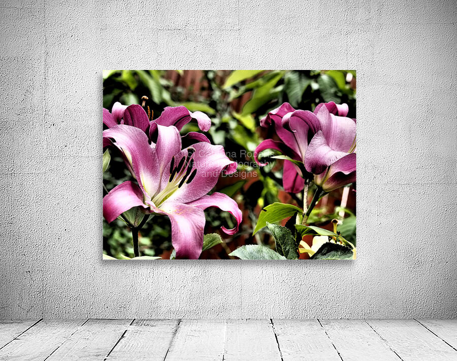  Pink Vibrant Lilies                                                                                                                     Wall Preview